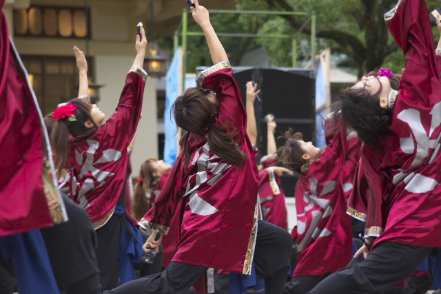 KOBE ALIVE 2011