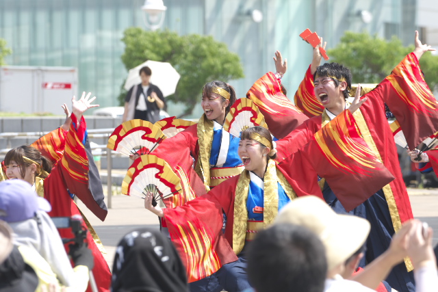 2025 Sailing KOBE 祭り屋燈波
