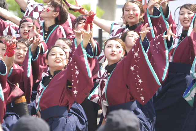 2025 Sailing KOBE 名古屋大学"快踊乱舞"