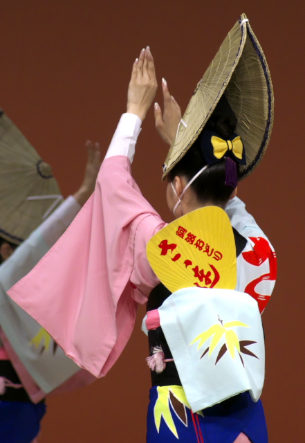 はな・はる・フェスタ2016　阿波おどり春舞台：１　ギャラリー:３